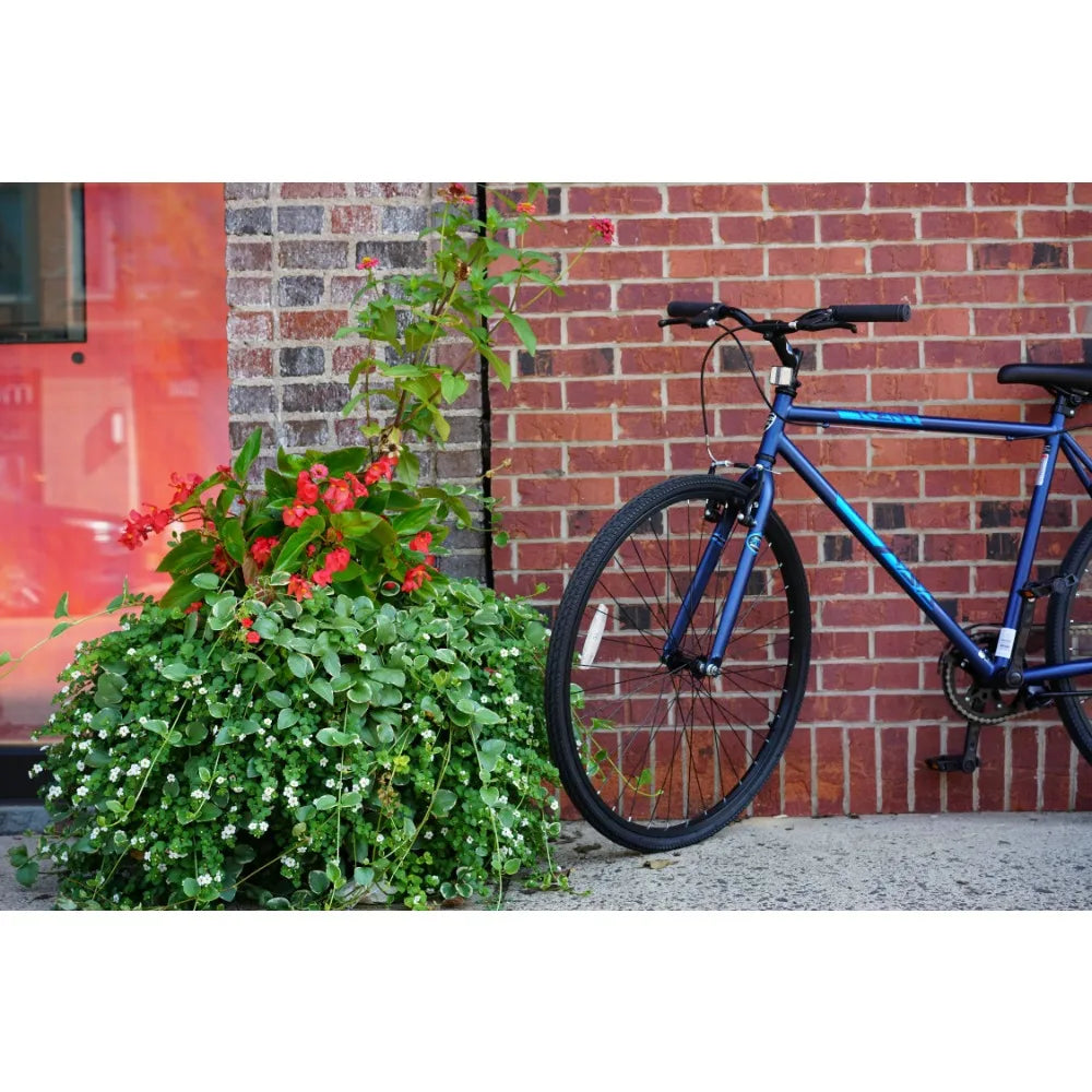 2023 New Kent 700c Thruster Fixie Men's Bike, Blue